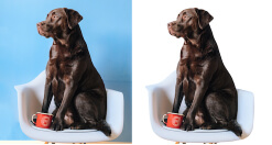 Easy Signs - Deep Etching