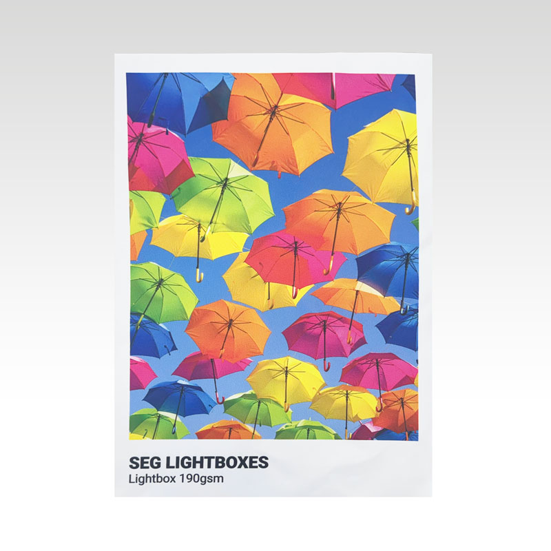 SEG Lightbox Display